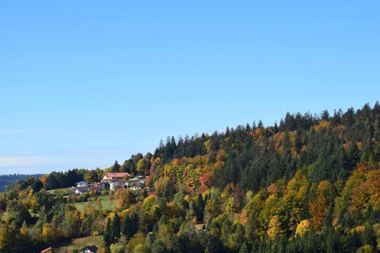 Ferienwohnungen Geiger Bodenmais Luaran gambar